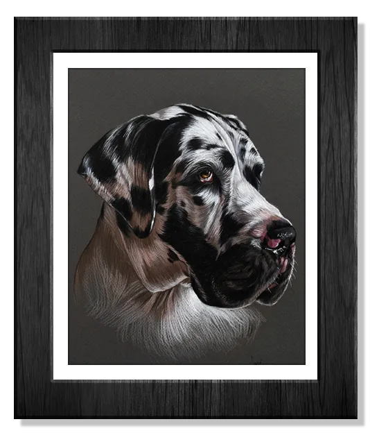 Retrato desenhado da Bella