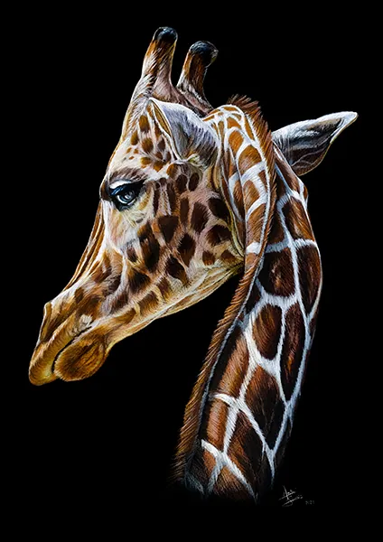 Art print de girafa