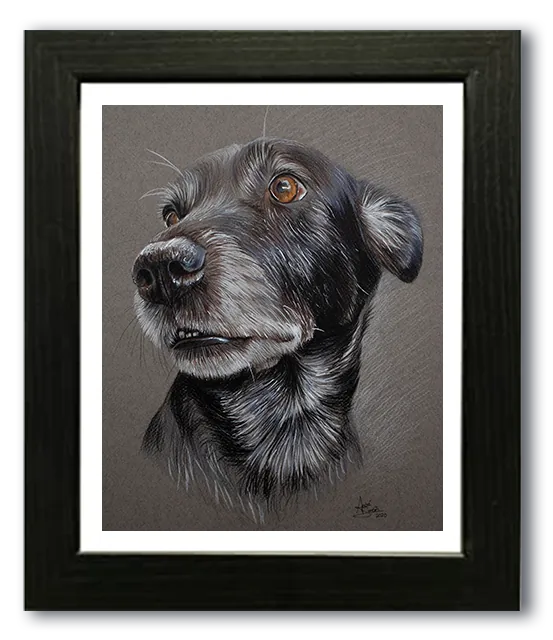 Moldura de retrato em destaque