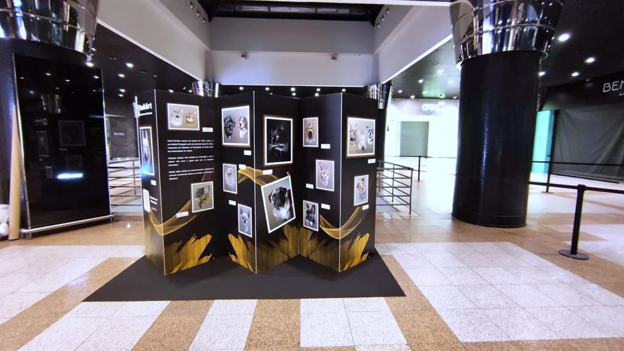 Exposição de retratos  imagem 2